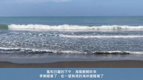 seeturtle0325 seeturtle0325