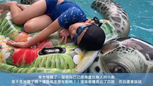 seeturtle0325 seeturtle0325