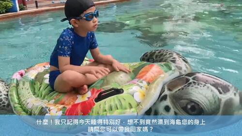 seeturtle0325 seeturtle0325