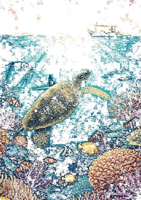 海色漸白：酸化的深海警報與珊瑚礁的深海曙光