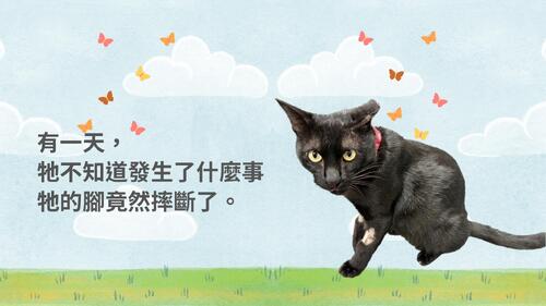 我們，遇到的一隻小黑貓0326