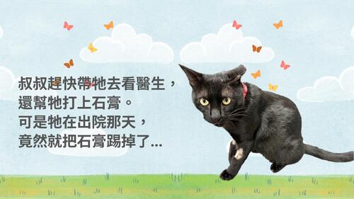 我們，遇到的一隻小黑貓0326