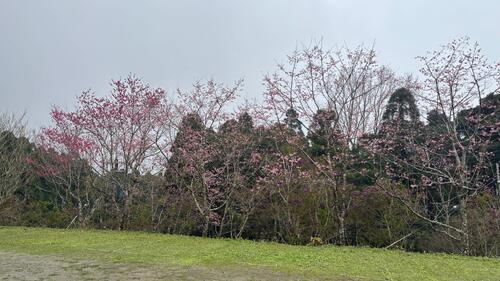 馬武督探索指南