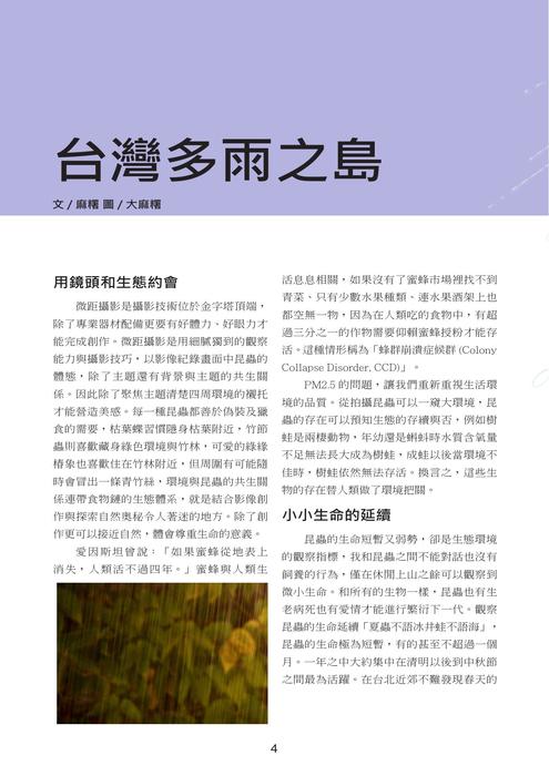 麻糬最後大作業pdf