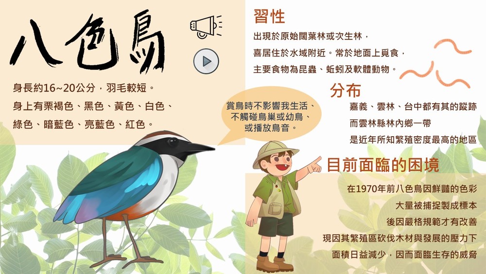 投影片3 投影片3