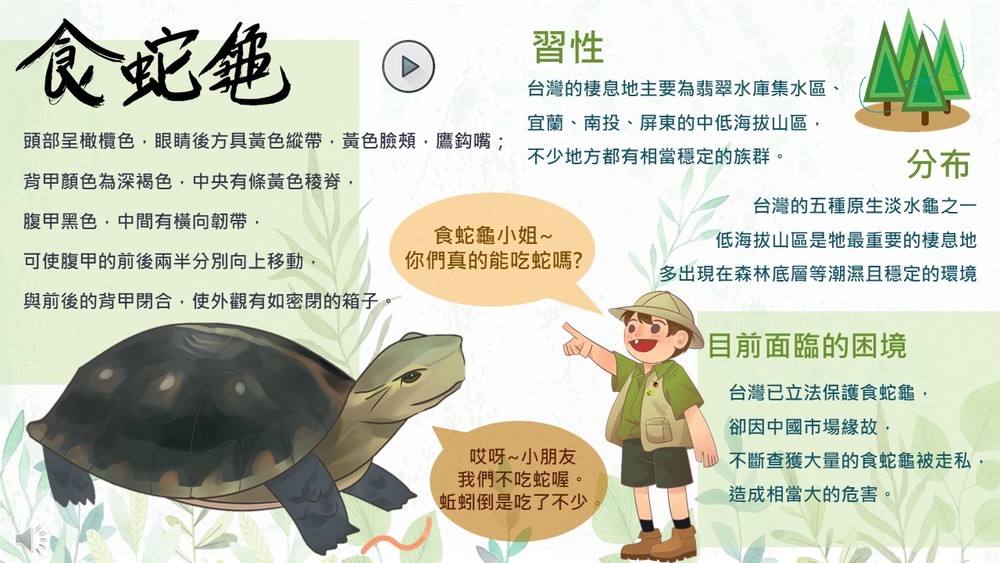 投影片1 投影片1