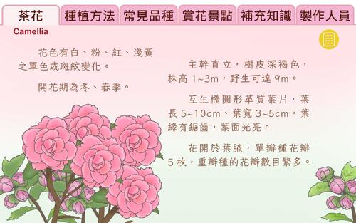 new內頁 new內頁