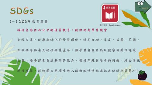 欖仁樹20230313-2-2-愛樹行動-1 欖仁樹20230313-2-2-愛樹行動-1