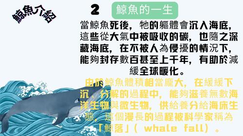 警急出動-拯救鯨魚