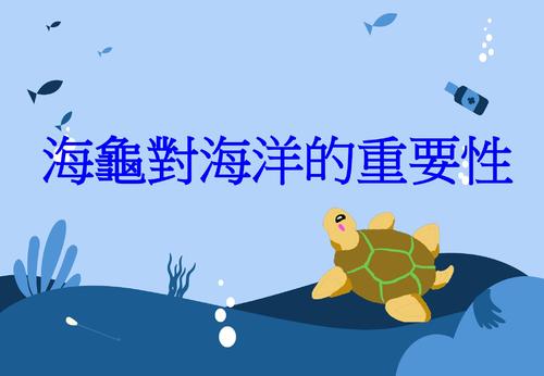 海龜的哭塑 海龜的哭塑