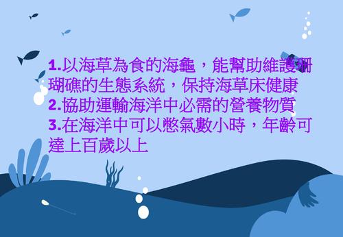 海龜的哭塑 海龜的哭塑