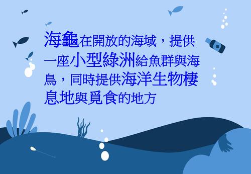 海龜的哭塑 海龜的哭塑