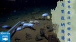 世界最深的髒水溝-馬里亞納海溝