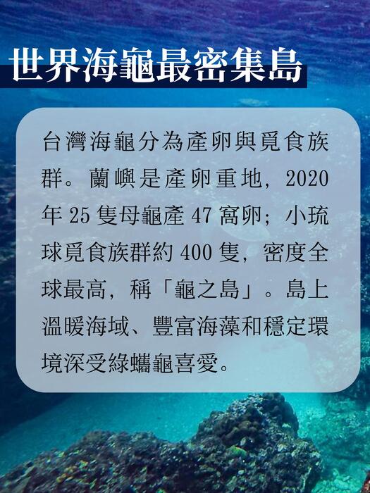 龜宗（點陣版）