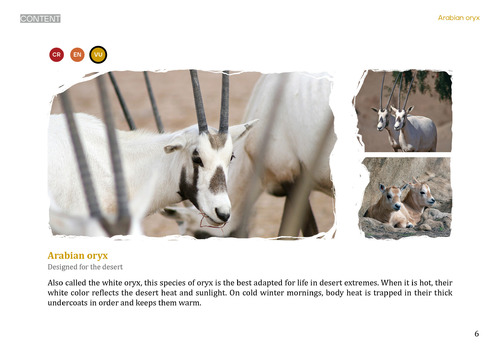 电子书设计比赛6 电子书设计比赛6