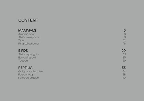 电子书设计比赛 电子书设计比赛