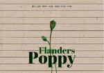 Flanders Poppy