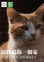 浪我給你一個家