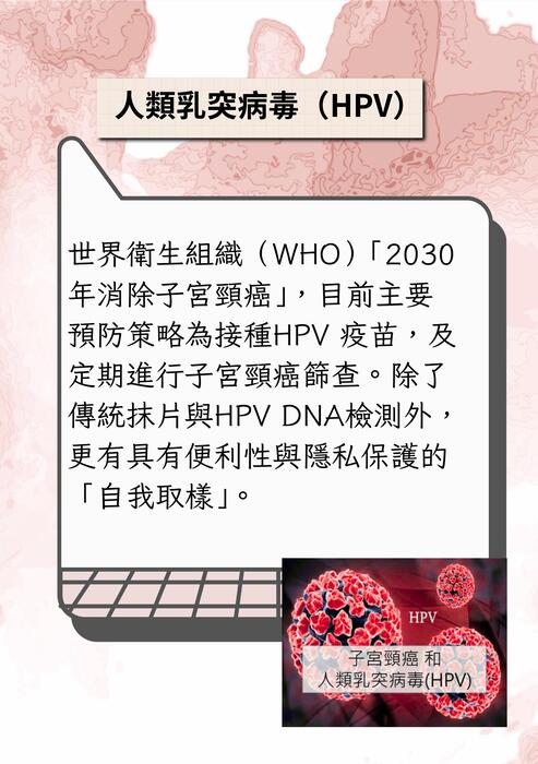 人類乳突病毒疫苗接種及篩檢新版