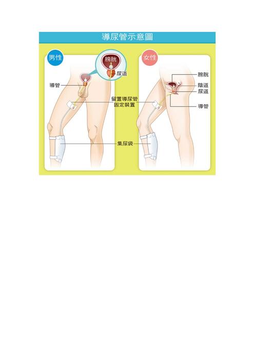 素材37邱浩哲