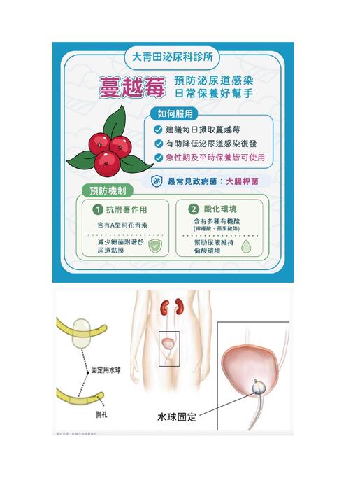 素材37邱浩哲