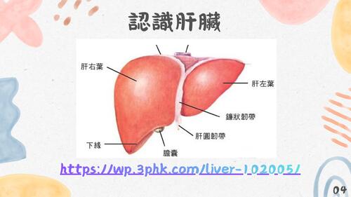 守護心肝，照顧不甘苦