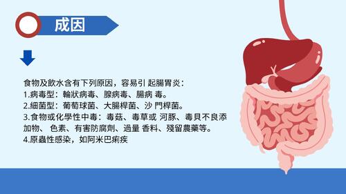 blue and red modern illustrated stomach health care presentation