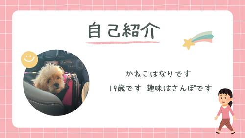 白　黒　木の枠　ポップ　カラフル　ホワイトボード　自己紹介　プレゼンテーション (1) (1)