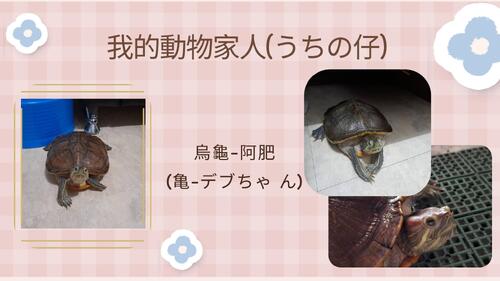自我介紹