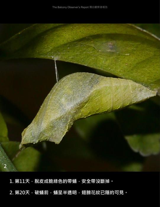 bor_tsao_vol_04s_20211129 bor_tsao_vol_04s_20211129