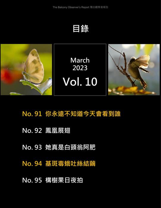 bor_tsao_vol_10s_20230125 bor_tsao_vol_10s_20230125