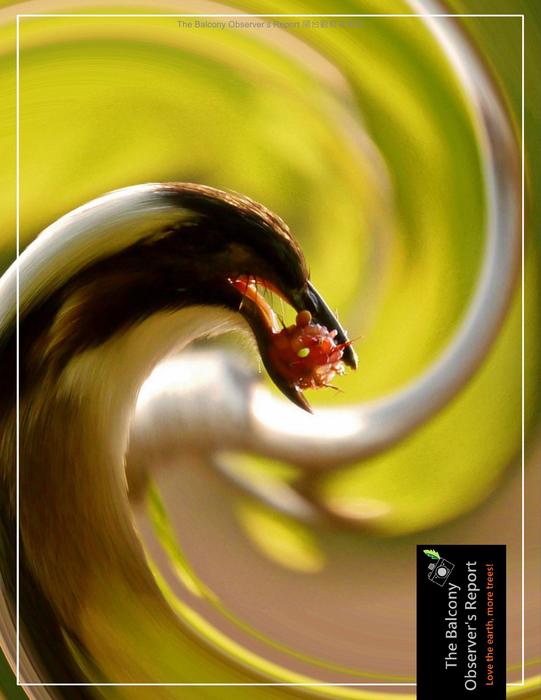 bor_tsao_vol_10s_20230125 bor_tsao_vol_10s_20230125