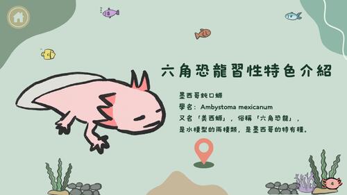 六角恐龍 六角恐龍