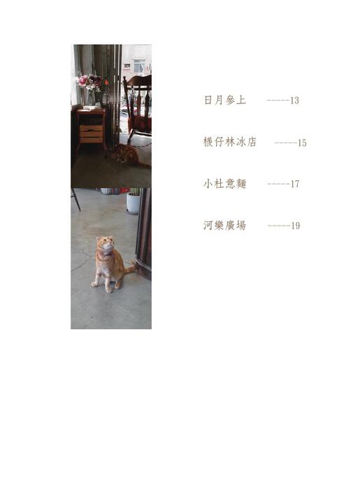 01目錄 01目錄