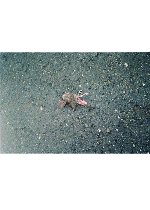 畫室-05 畫室-05