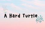 A hard turtle