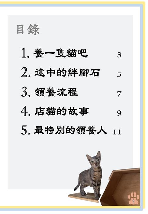 化愛心為行動 領養代替購買 養一隻貓吧 化愛心為行動 領養代替購買 養一隻貓吧