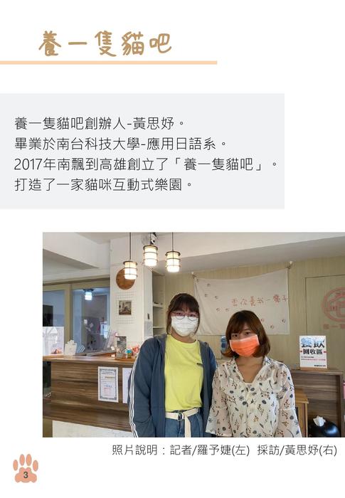 化愛心為行動  領養代替購買 養一隻貓吧