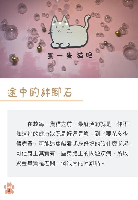 化愛心為行動 領養代替購買 養一隻貓吧 化愛心為行動 領養代替購買 養一隻貓吧