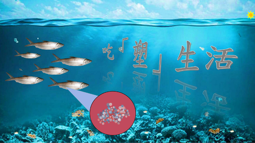 吃「塑」生活 吃「塑」生活