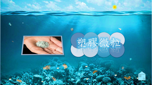 吃「塑」生活 吃「塑」生活