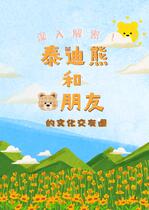 泰迪熊和熊朋友的文化交友圈